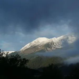 verificați disponibilitatea